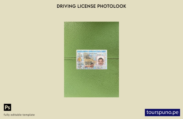 listo para imprimir plantilla frontal de aspecto fotográfico del permiso de co 8